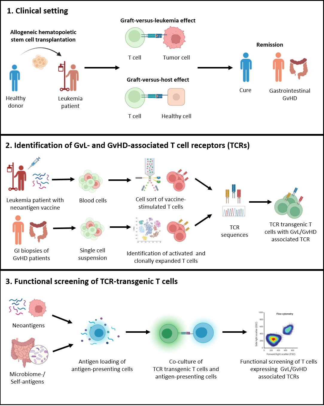 TCR recognition in tumor 