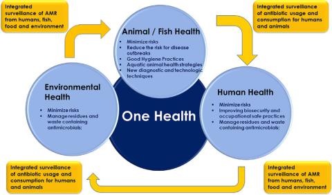 one health approach to takle amr santos and ramos ijantimicag 2018